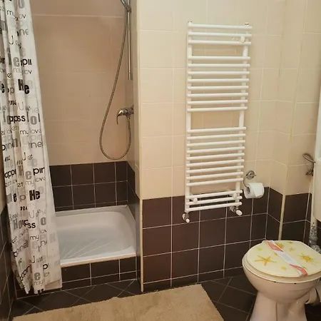 Casa de hóspedes Bavaria Braşov