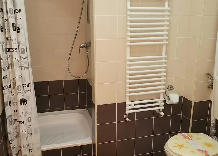 Guest house Bavaria Brasov