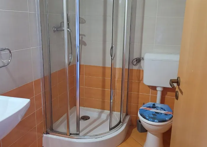 Guest house Bavaria Brasov