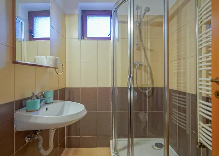 Bavaria Guest house Brasov